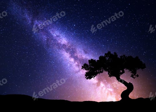 Preview: Milky Way and tree on the hill.
