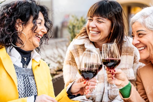 Preview: Genuine retired people having fun toasting and drinking red wine at dinner party at pub