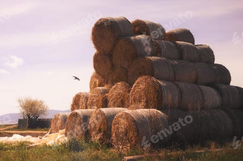 Preview: some hay bales in a field with a bird flying over it