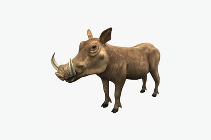 Preview: Warthog lateral view