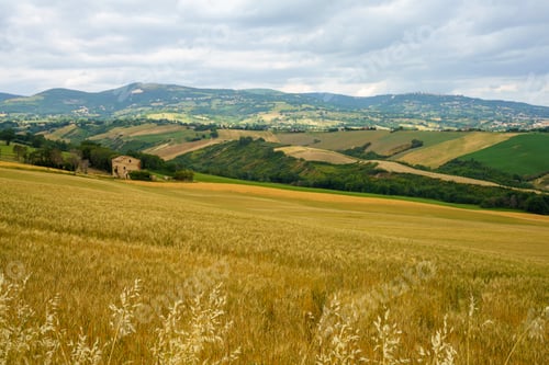 Preview: Rural landscape near Cingoli and Appignano, Marche, Italy