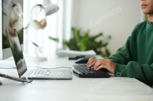 Preview: Software Developer Working on Project