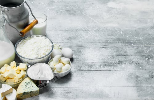 Preview: variety of dairy products .