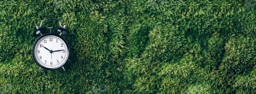 Preview: Alarm clock on green grass, moss background. Top view. Copy space. Ecology of sleeping. Banner
