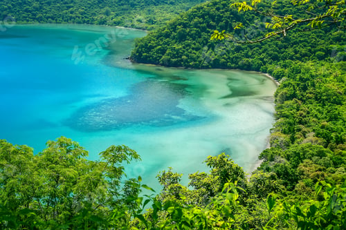 Preview: Lagoon In The Jungle