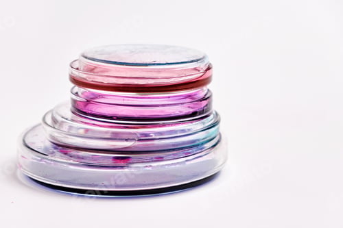 Preview: Pyramids from Petri dishes with colorful agar media with bacterial colonies for biochemical analysis