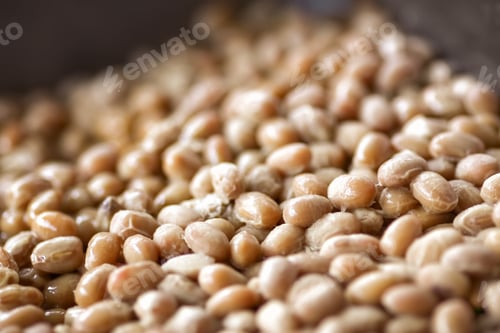 Preview: Natto (Soybeans Fermented)