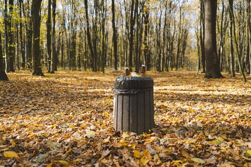 Preview: Garbage in the forest. Love nature. Earth day