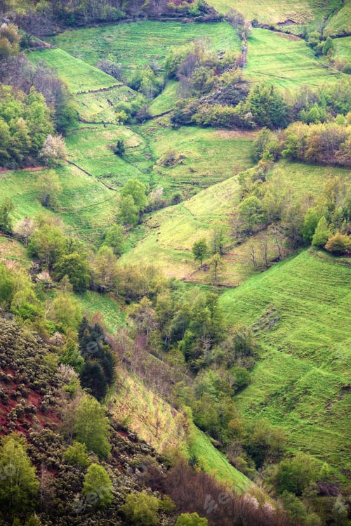 Preview: Steep meadows in a declivitous valley