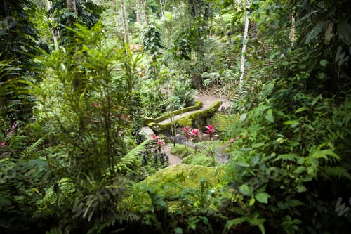 Preview: Green garden at Goa Gajah Elephant Cave Temple near Ubud, Bali, Indonesia