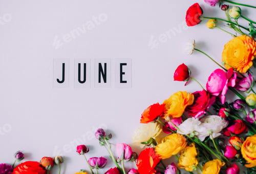 Preview: summer