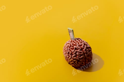Preview: Money in brain on yellow background. Side view