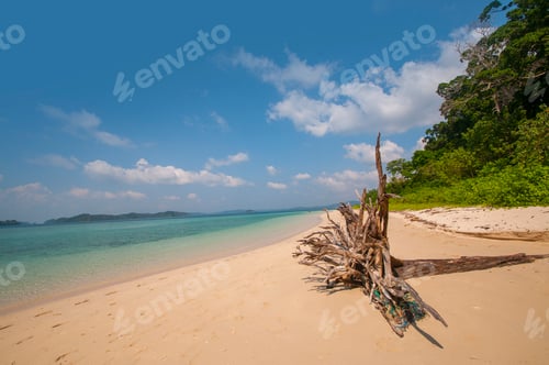 Preview: Landscape of Jolly Buoy Island, Andaman and Nicobar, India.