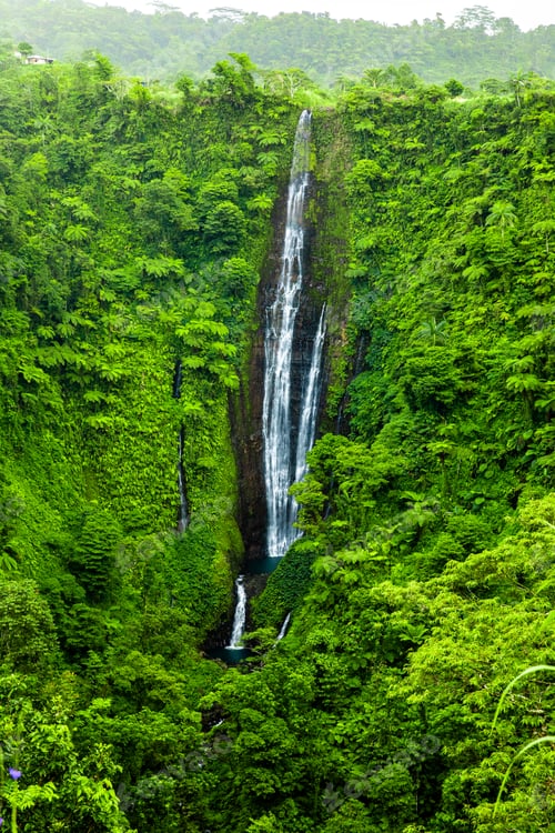 Preview: Vibrant tall Papapapaitai falls in the forest of Upolu island, S