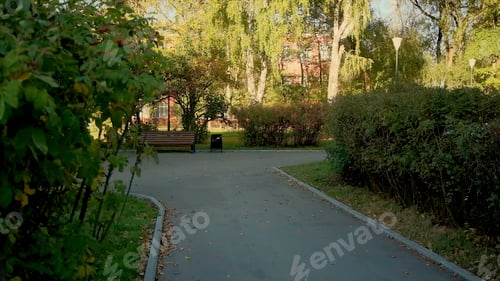 Preview: A walk through an empty park. Clip. A sunny empty place with green plants around and benches for
