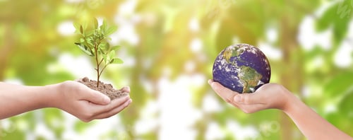 Preview: Environment day concept: Child hands holding tree and earth over blurred nature background