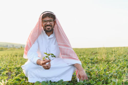 Preview: Arab farmer inspecting soybean plant in cultivated field