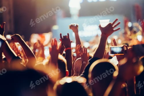 Preview: Picture of party people at music festival