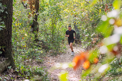 Preview: man practicing trail running in the forest