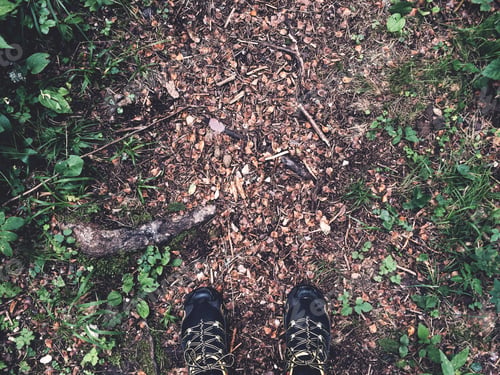 Preview: Running shoes on the forest path