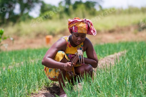 Preview: Young African woman in green park