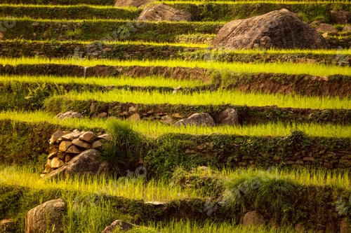 Preview: Beautiful Asian landscape