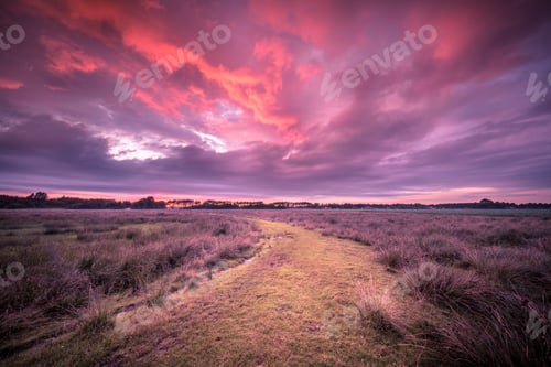 Preview: Spiritual voyage concept path through Wild natural landscape und