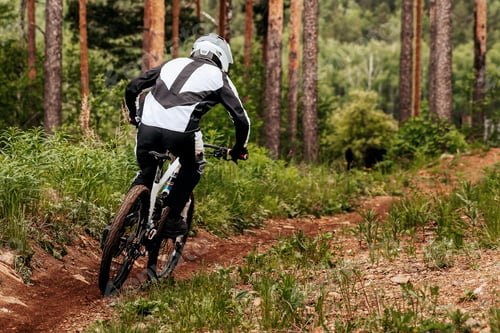 Preview: rear view male racer riding on forest path downhill race, mountain bike competition in pine woodland