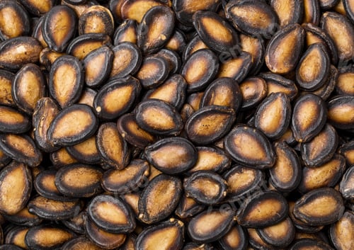 Preview: Black melon seed