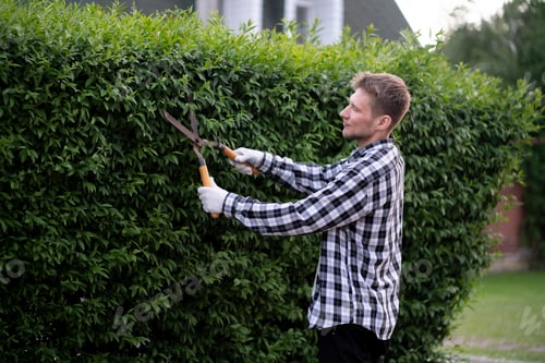 Preview: a gardener cut the hedge with the hedge shears outside