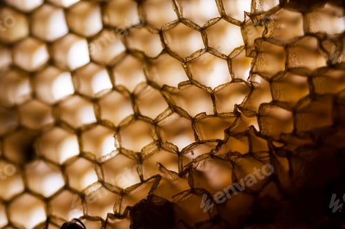 Preview: Texture and pattern of honeycomb, Abstract background