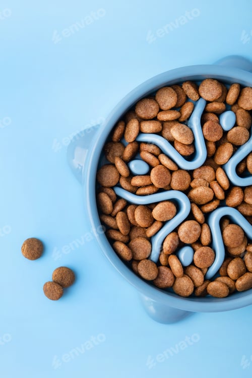 Preview: Cat and dog blue slow Feeding Bowl on blue background