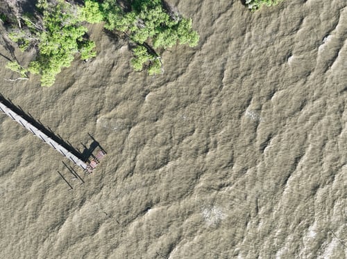 Preview: Aerial view green mangrove trees, wooden bridge, and seawater. Net zero emissions. Natural carbon