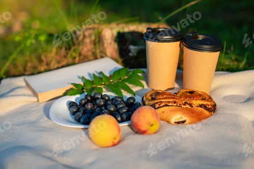 Preview: Still life on beige blanket with plate of blueberries, peaches, glasses, book, and sweet pastries