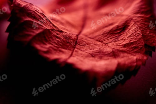 Preview: Macro View of Red Leaf Veins and Texture