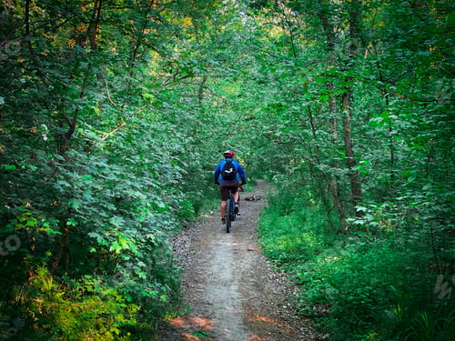 Preview: Man cyclist with helmet riding on an empty road going through a green forest in summer
