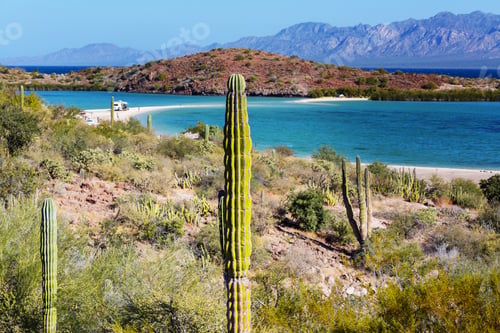 Baja