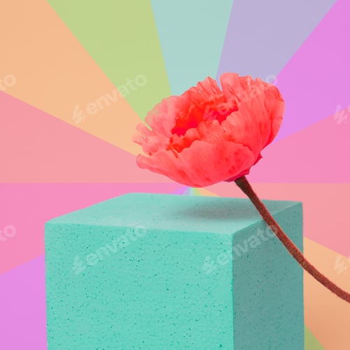 Preview: Poppy flower in colorful geometry space. Minimal art