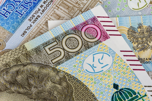 Preview: Close-Up of Polish Currency