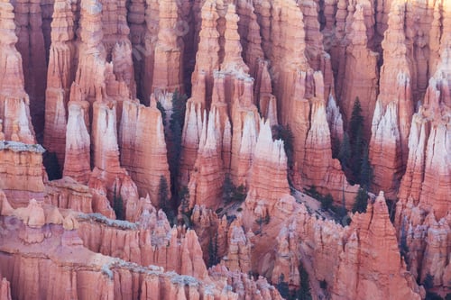 Preview: Bryce