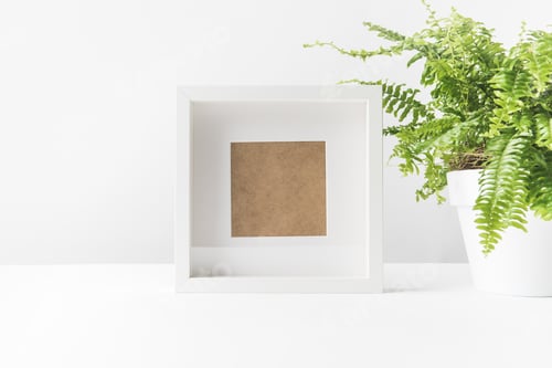Preview: close-up view of empty photo frame and beautiful potted fern on white