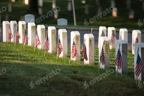 Preview: Tombstones with American Flags on Memorial Day at Arlington National Cemetery