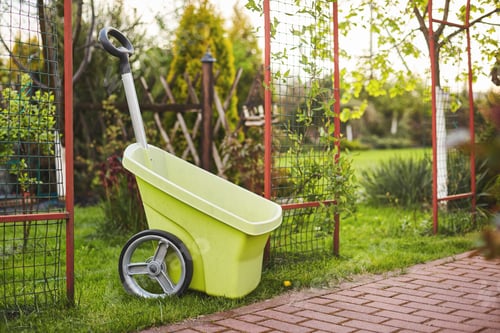 Preview: A plastic garden wheelbarrow sits on a freshly mown lawn in the garden, place for text