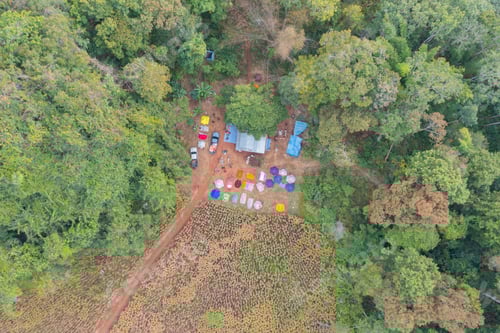 Preview: Forest trees and green mountain hills. Nature landscape background.