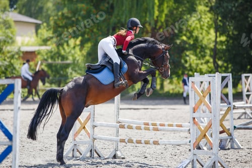Preview: Young woman riding horseback jumping over the hurdle on showjumping course