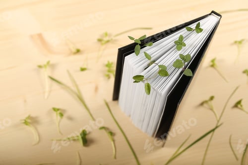 Preview: The Black Book And Mint Are On The Table