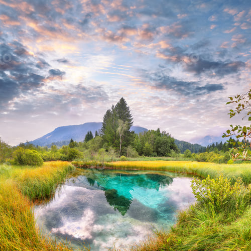 Preview: Amazing summer view on Zelenci lake with beautiful reflections in water.