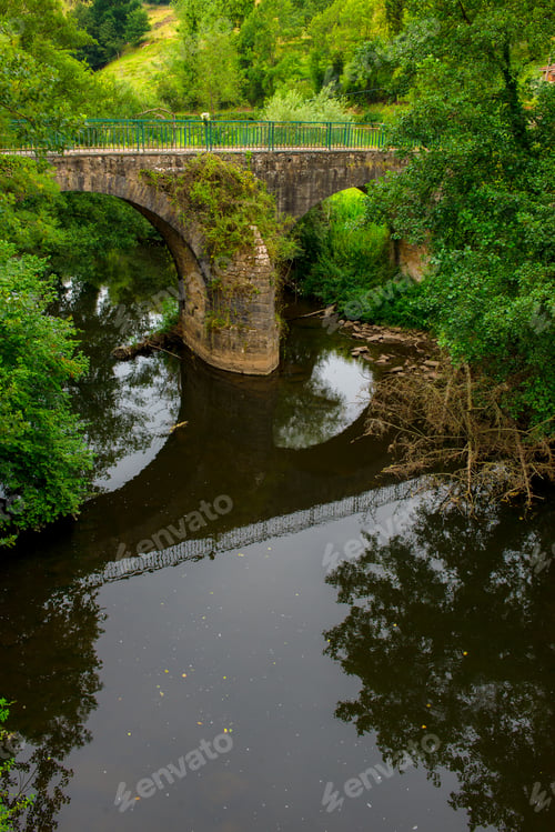 Preview: Tranquil river in green vegetation with aged bridge