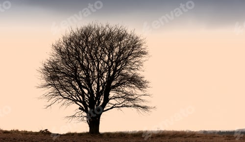 Preview: Autumn in the colors of autumn