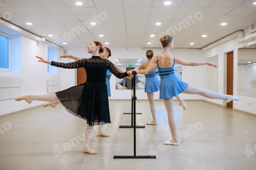 Preview: Master and ballerinas, exercise at barre in class